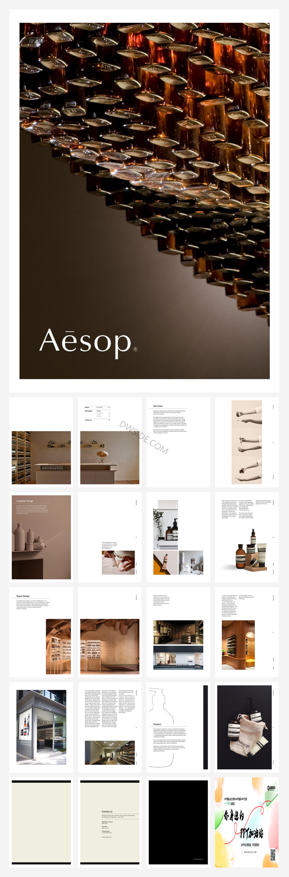 Aesop宣传册.pdf