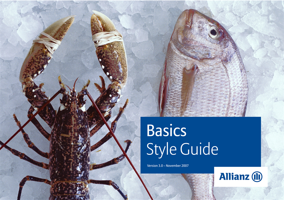 Allianz-Basics-ASICS 品牌指南.pdf