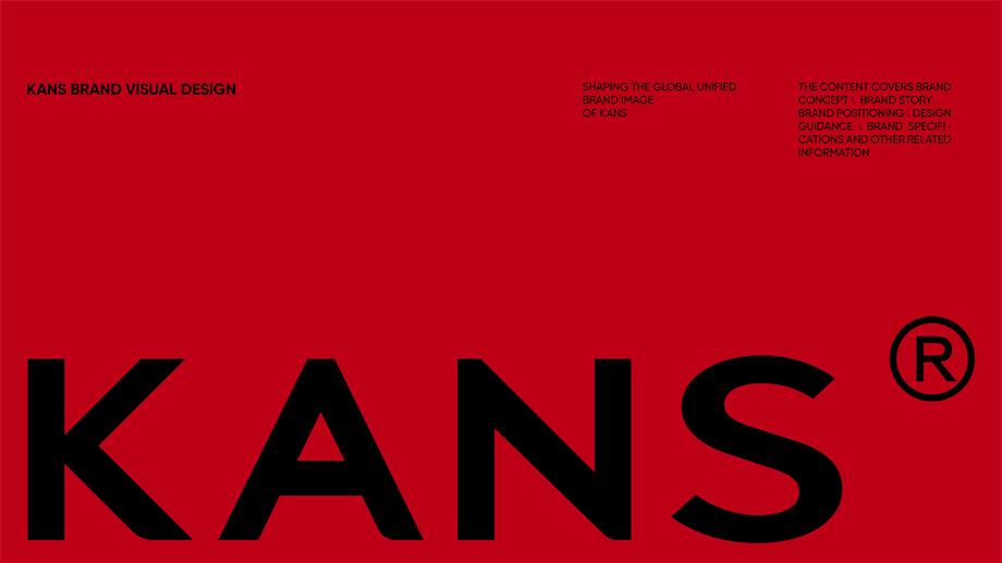 KANS韩束VI手册.pdf