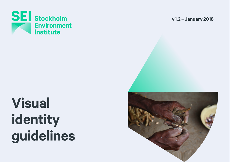 sei-guidelines-2018-final.pdf