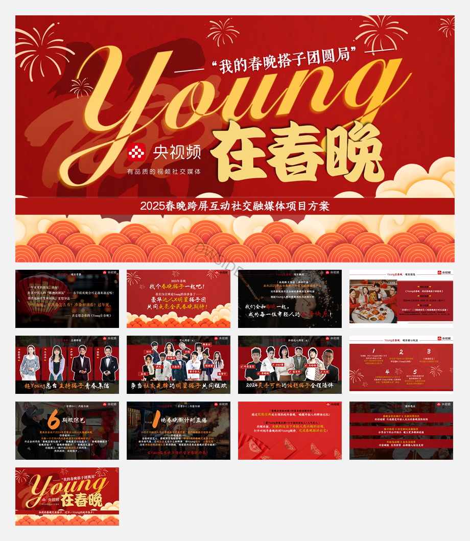 2025《Young在春晚》招商方案_1031V5.pdf