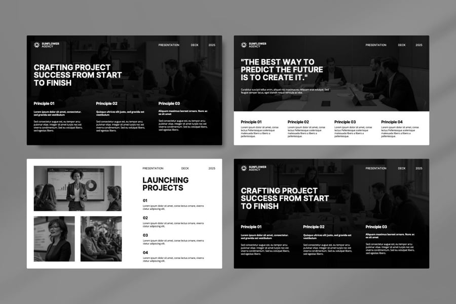 项目建议PPT模板 (PPTX)