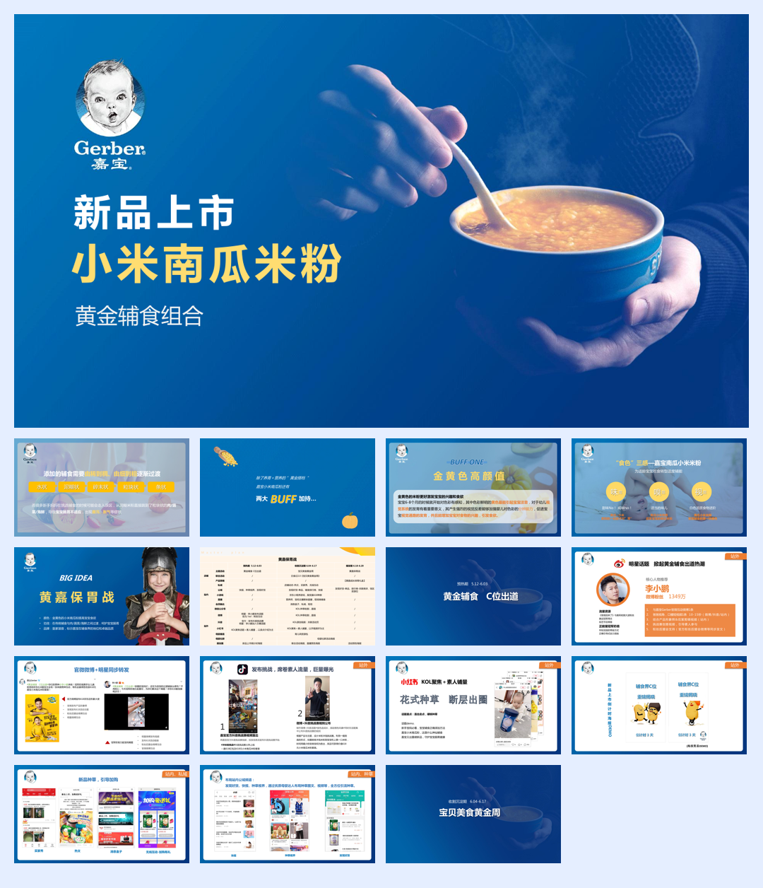 嘉宝新品618方案.pdf