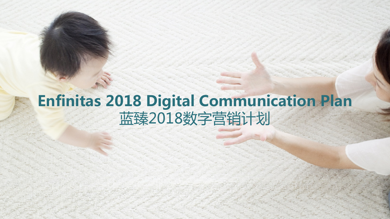 美赞臣蓝臻2018数字营销计划思路20180212.pdf