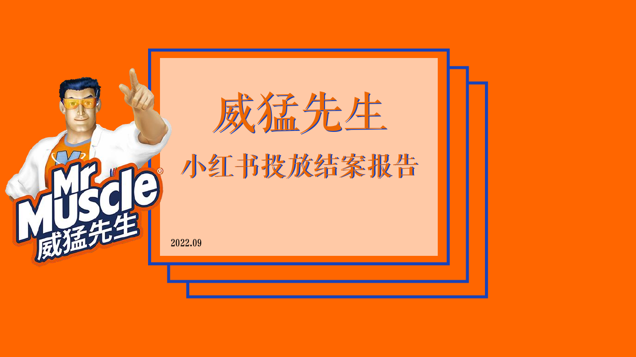 威猛先生小红书投放结案报告.pdf