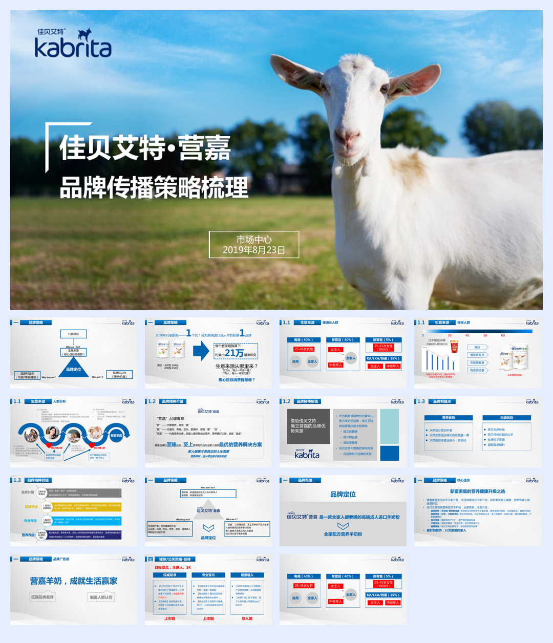 营嘉奶粉品牌传播策略梳理.pdf