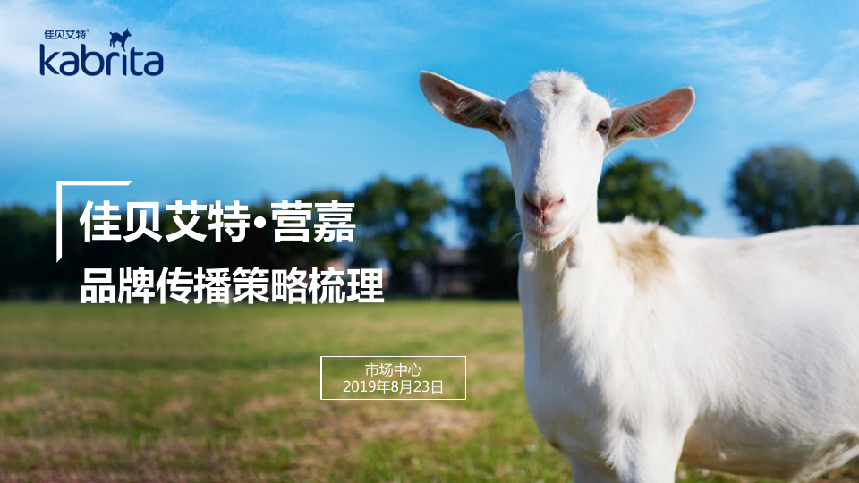 营嘉奶粉品牌传播策略梳理.pdf