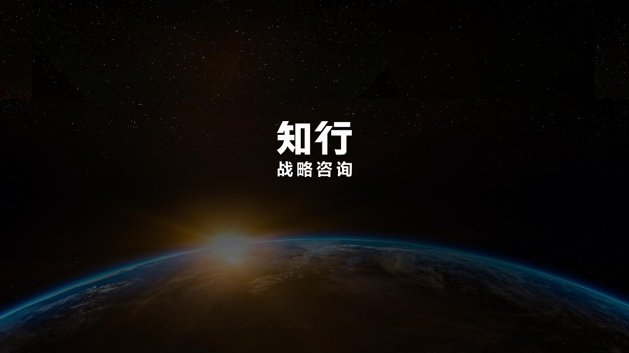 知行数据观察：婴幼儿辅食品类.pdf