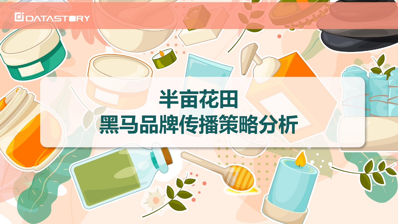 半亩花田黑马品牌传播策略分析.pdf