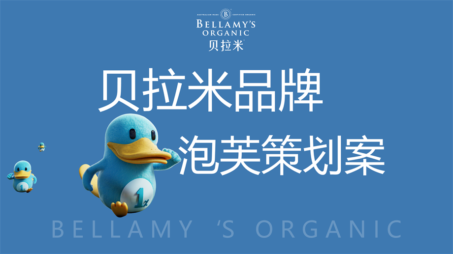 贝拉米泡芙策划方案.pptx