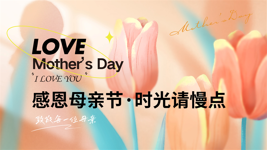 “感恩母亲,节时光请慢点”互动嘉年华感恩母亲节主题活动方案.pptx