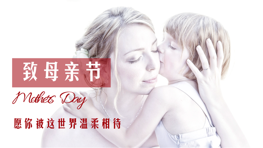 感恩温情爱意永伴四季原著512母亲节活动方案.pptx