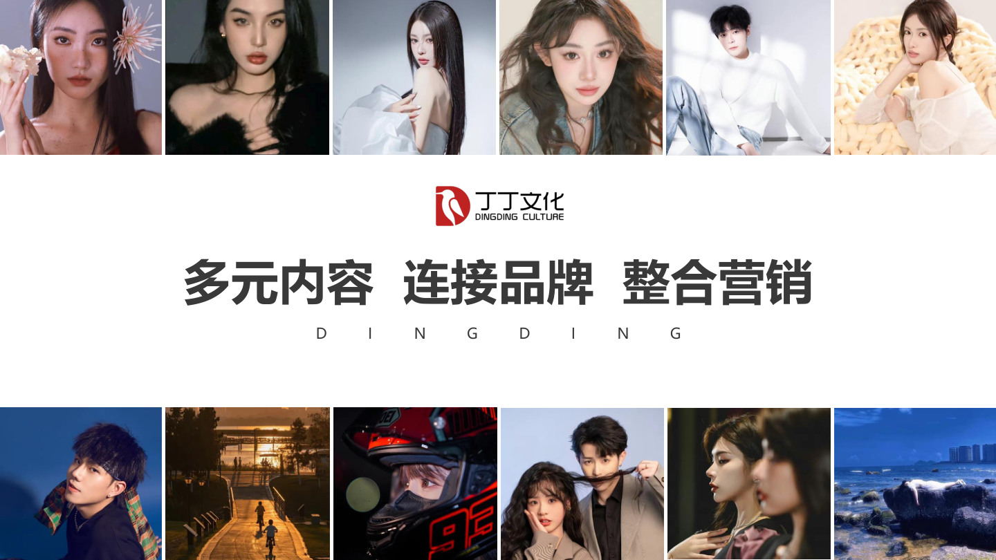 短剧头部公司丁丁文化公司简介.pdf