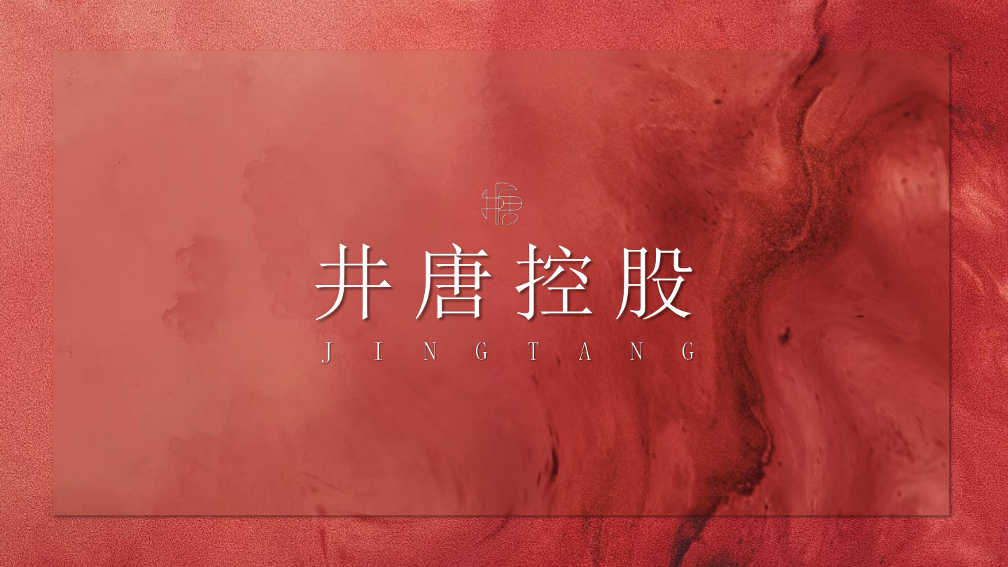 短剧头部公司井唐控股公司简介.pdf