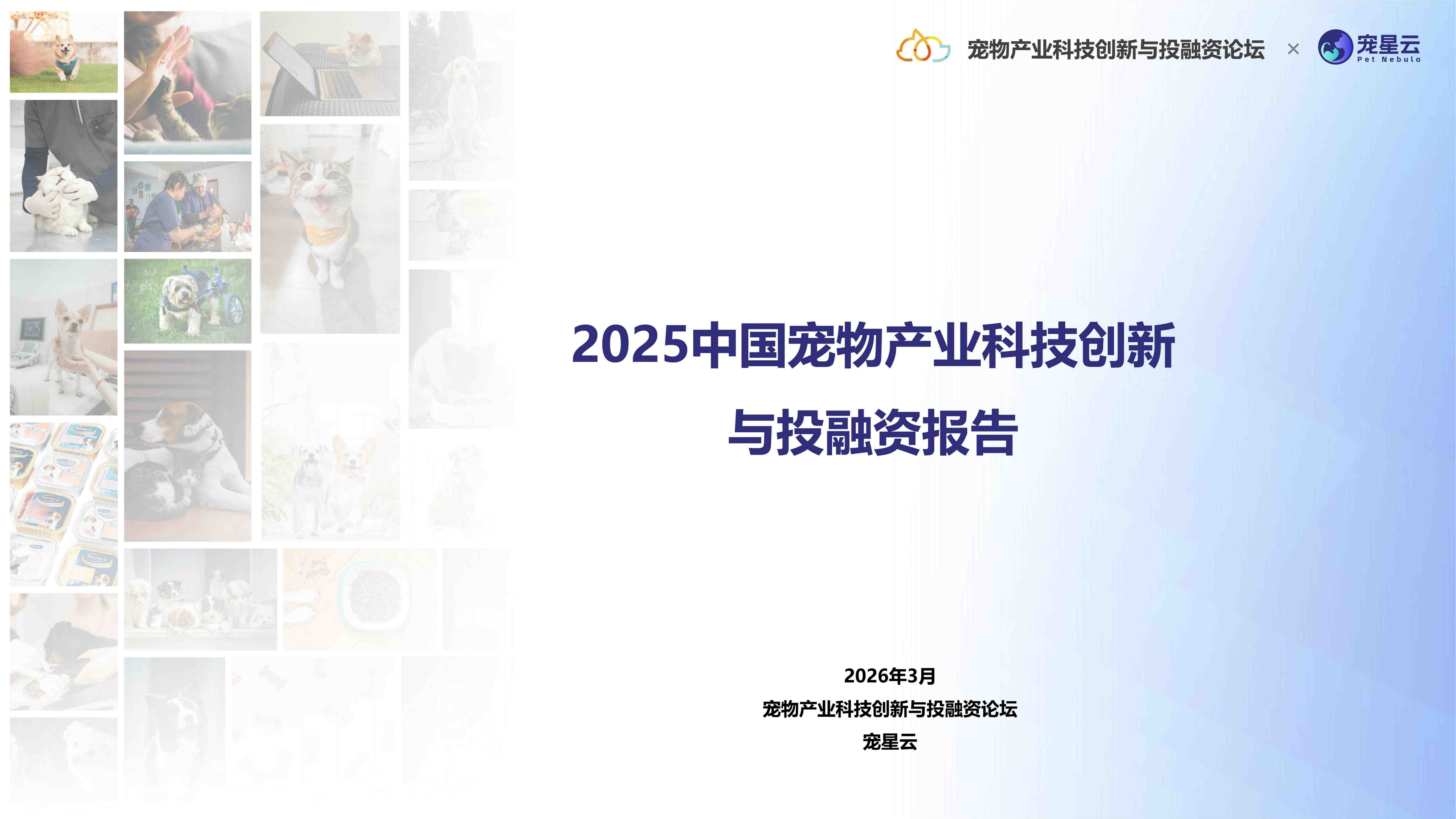 2025中国宠物产业科技创新与投融资报告-19页.pdf