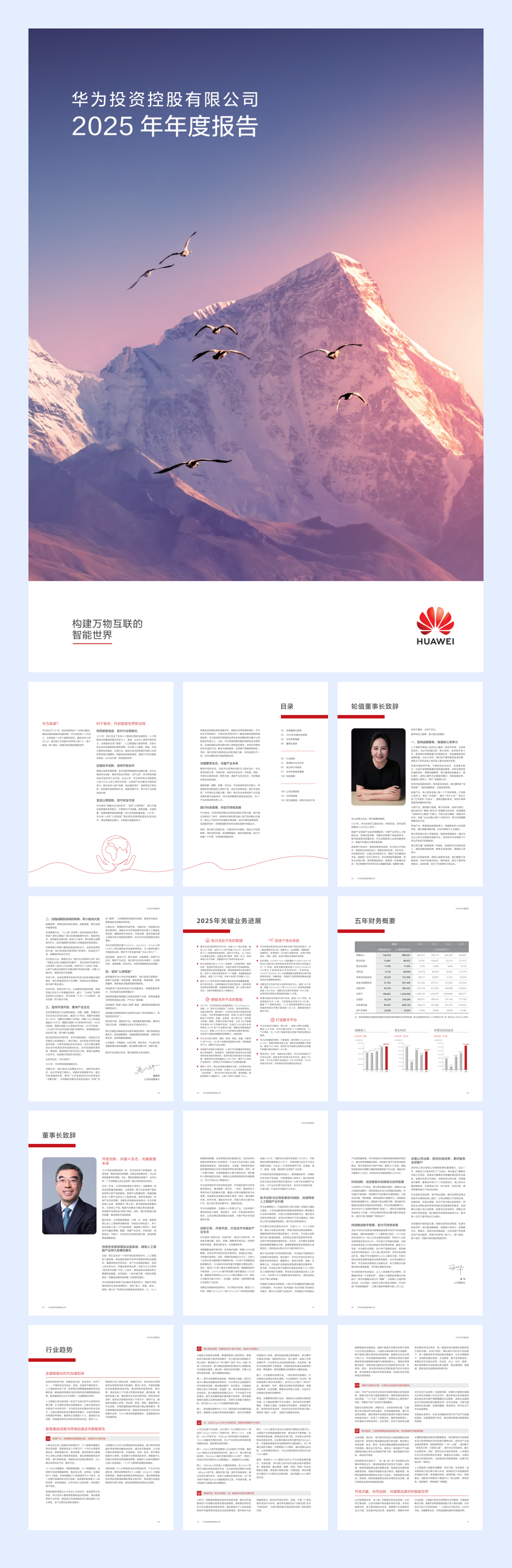 华为2025年年报.pdf