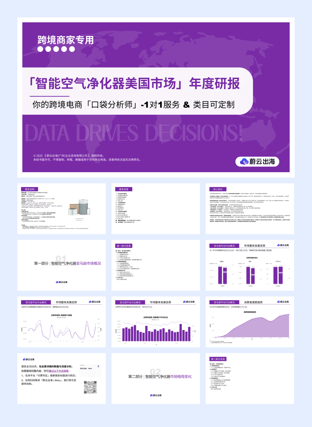 蔚云科技_2025亚马逊【智能空气净化器】行业年度研究-22页.pdf