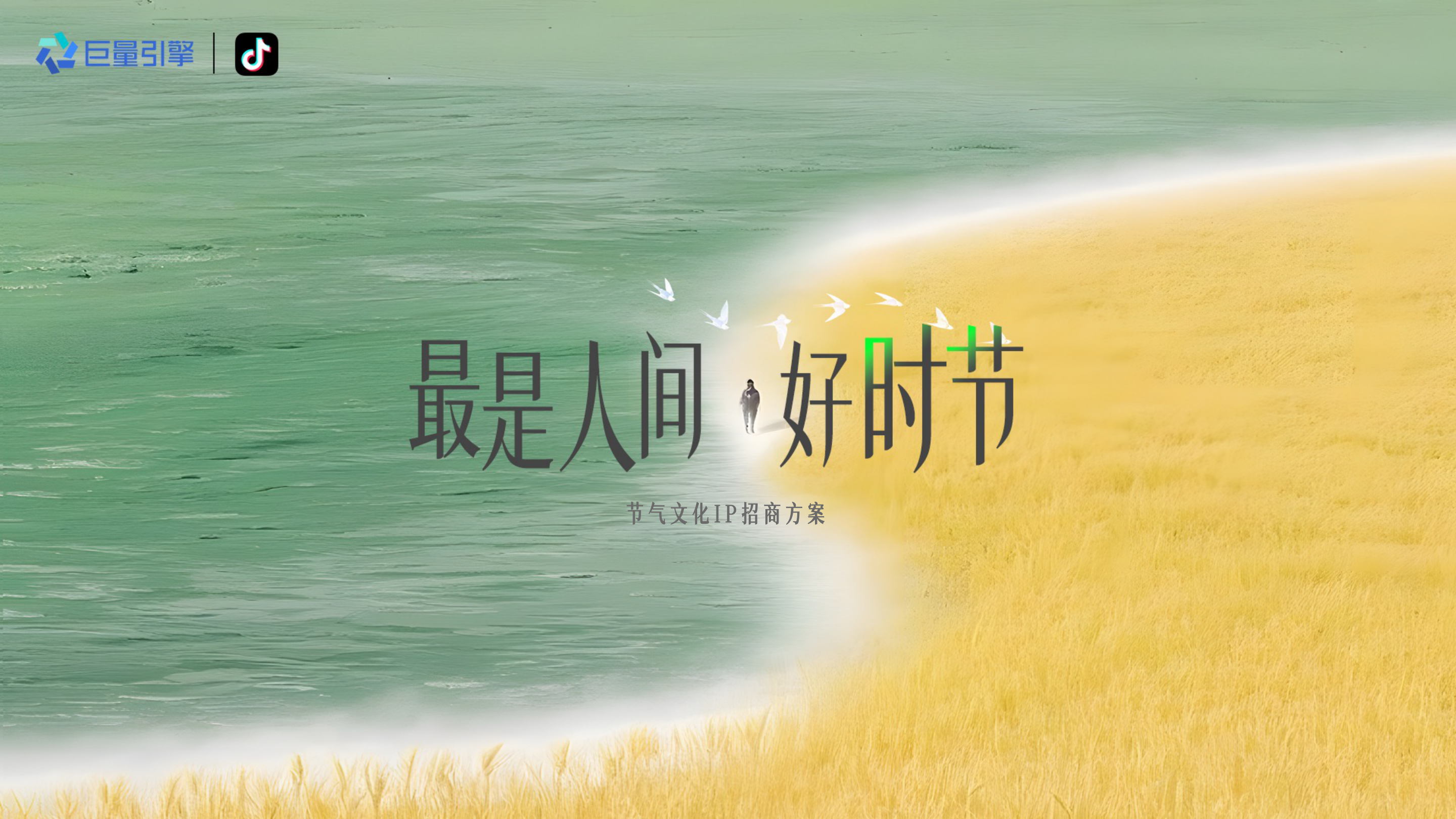 抖音节气文化IP最是人间好时节招商方案.pdf
