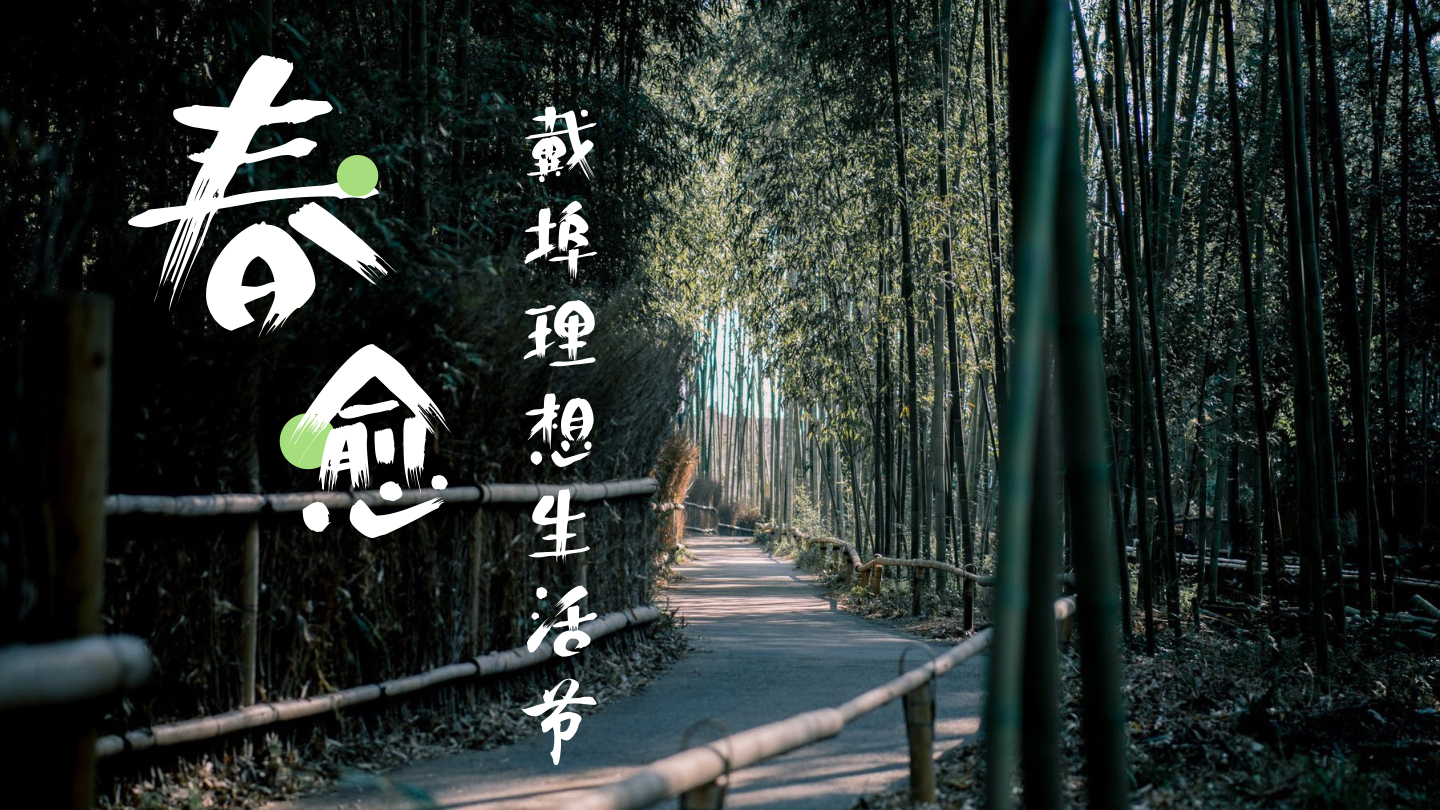春愈·戴埠理想生活节策划案.pdf