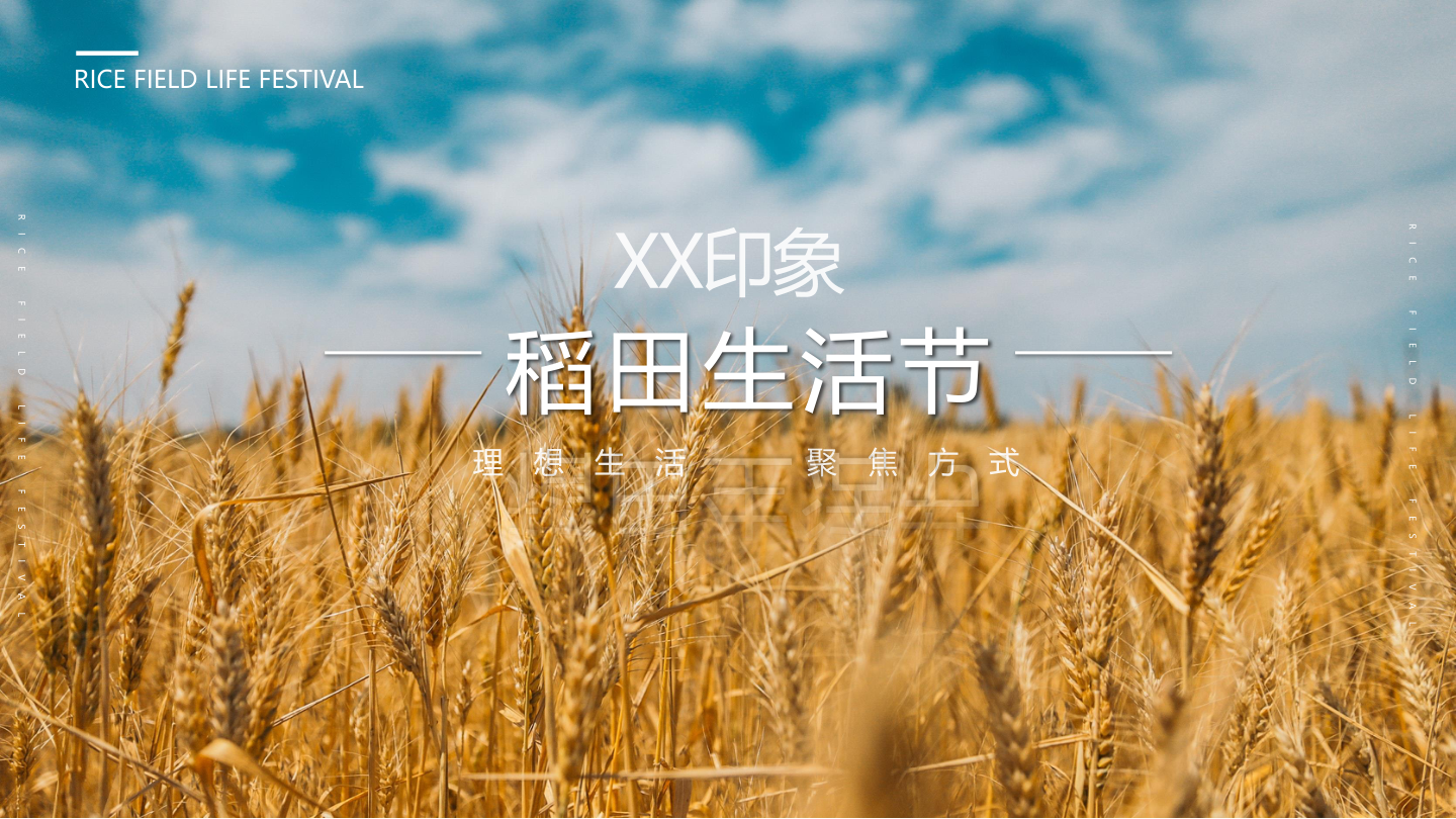稻田生活节活动方案.pptx