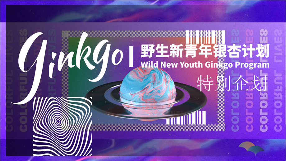 2023野生新青年银杏音乐节活动策划方案-63P.pptx