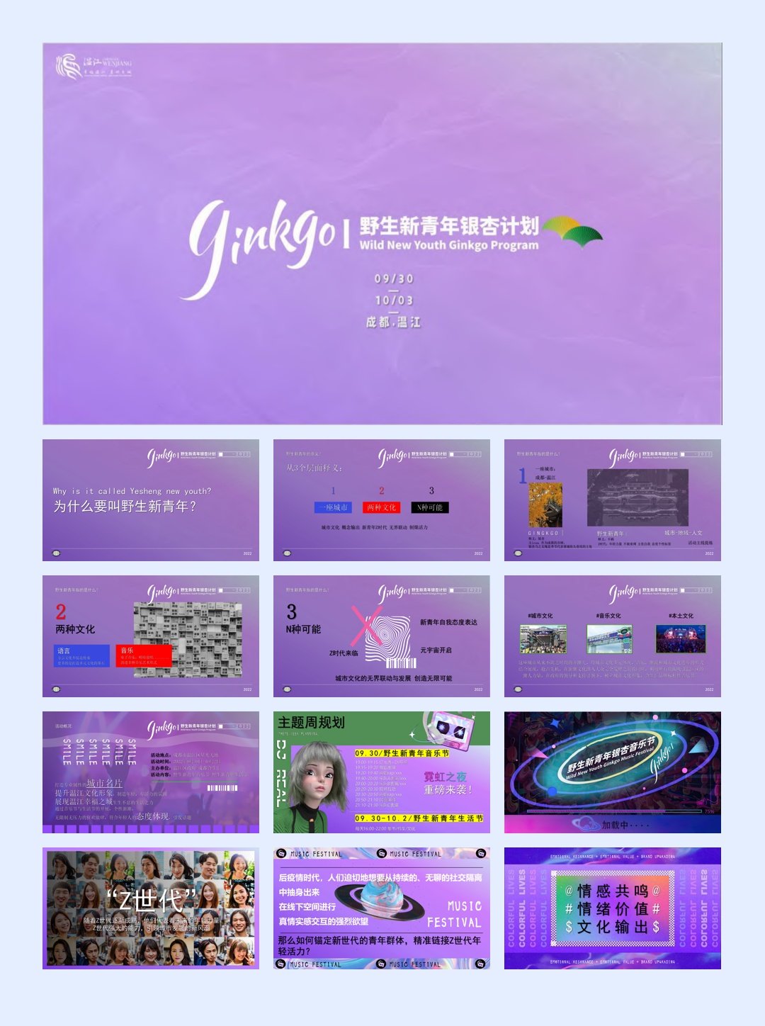 城市野生新青年音乐节活动策划方案_.pdf