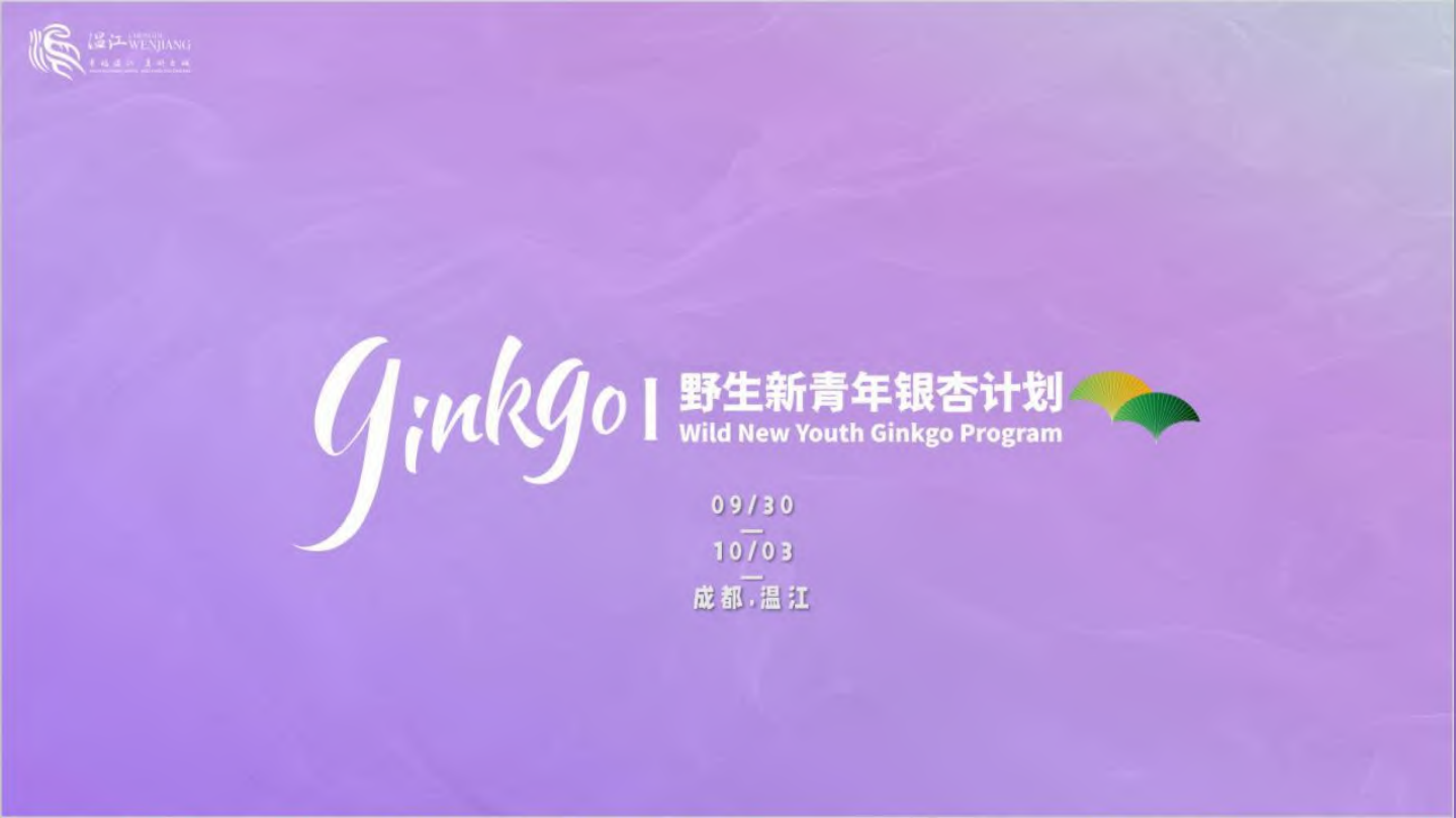 城市野生新青年音乐节活动策划方案_.pdf