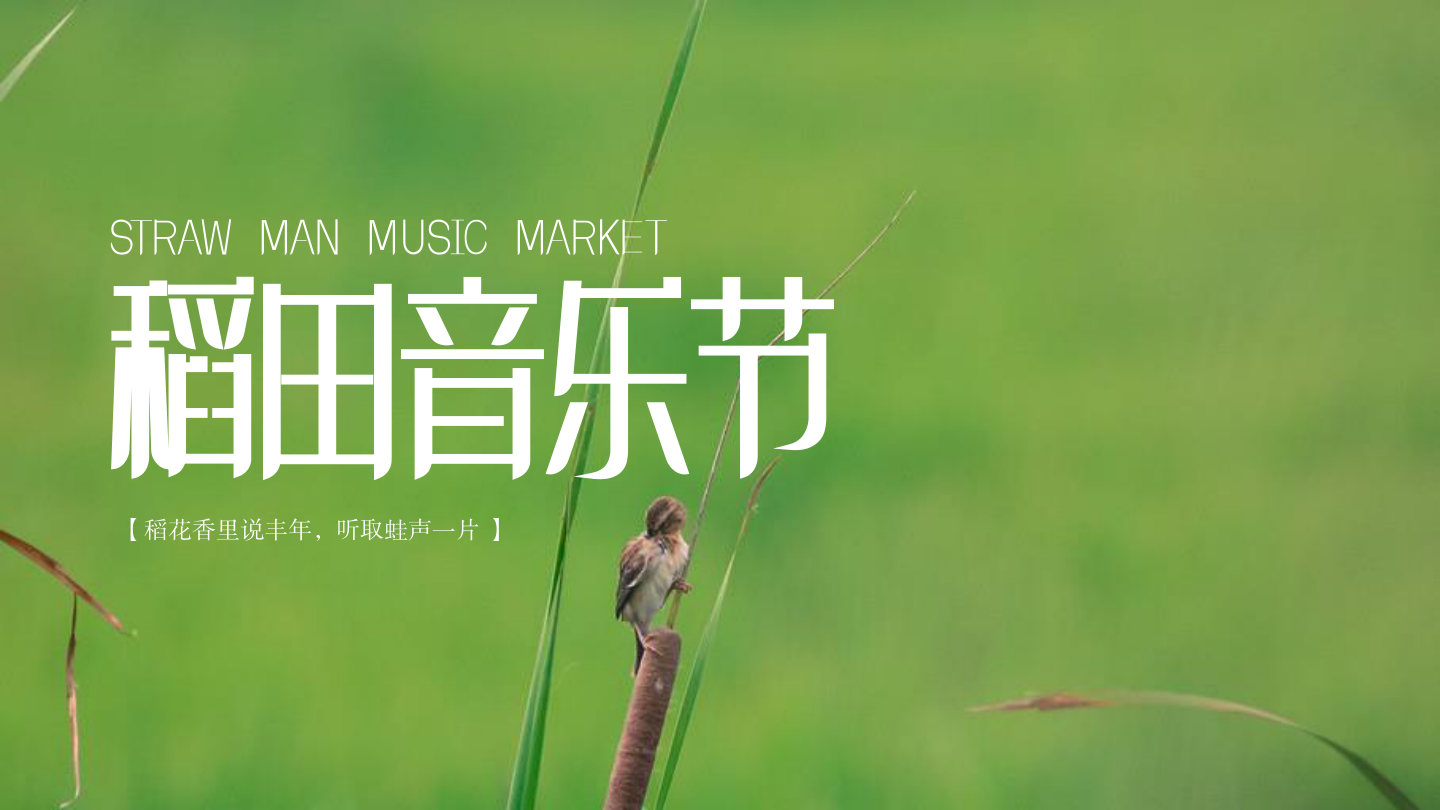 稻田音乐节活动策划方案-53P.pdf