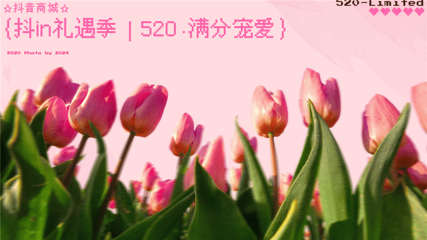 抖音商城抖in礼遇季｜520·满分宠爱营销通案.pdf