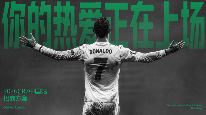 你的热爱 正在上场.pdf