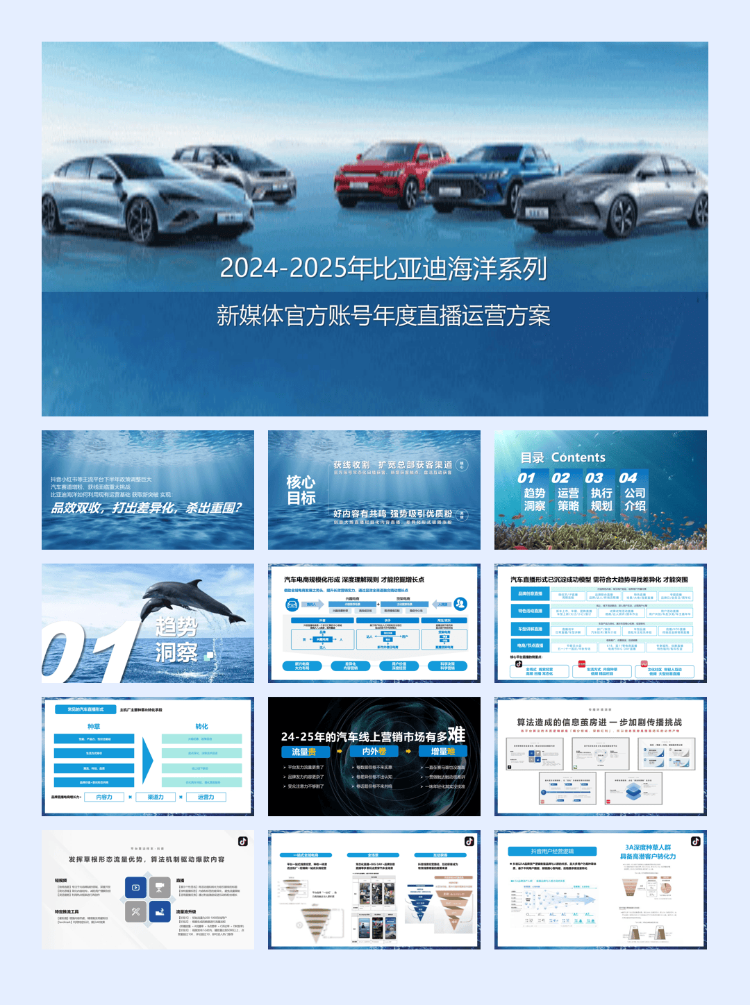 【运营方案】2024-2025比亚迪海洋系列新媒体官方账号年度直播运营方案.pdf