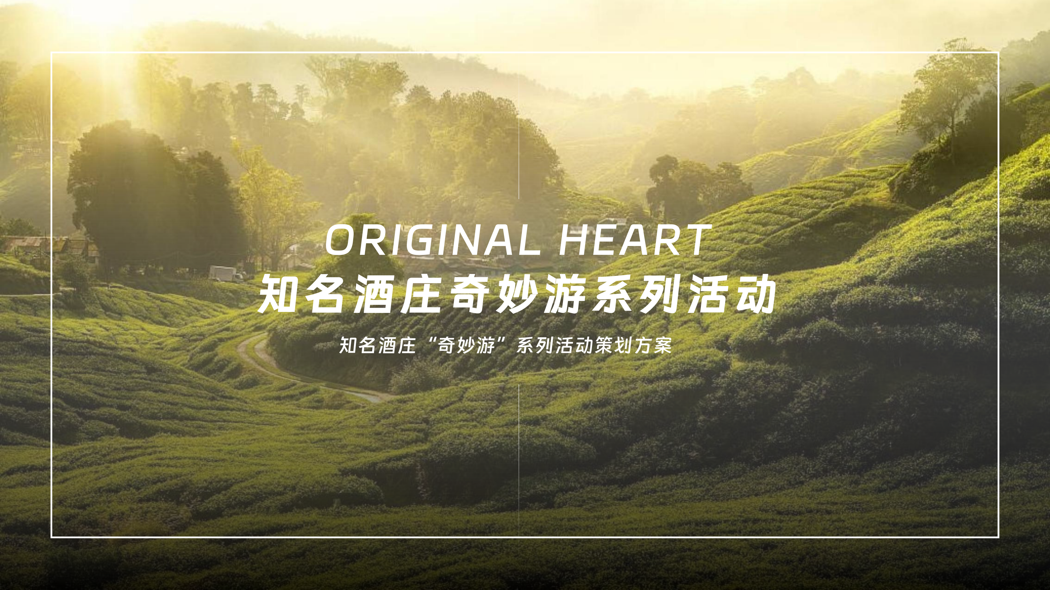 2025文旅项目酒庄奇妙游月度活动策划方案.pdf