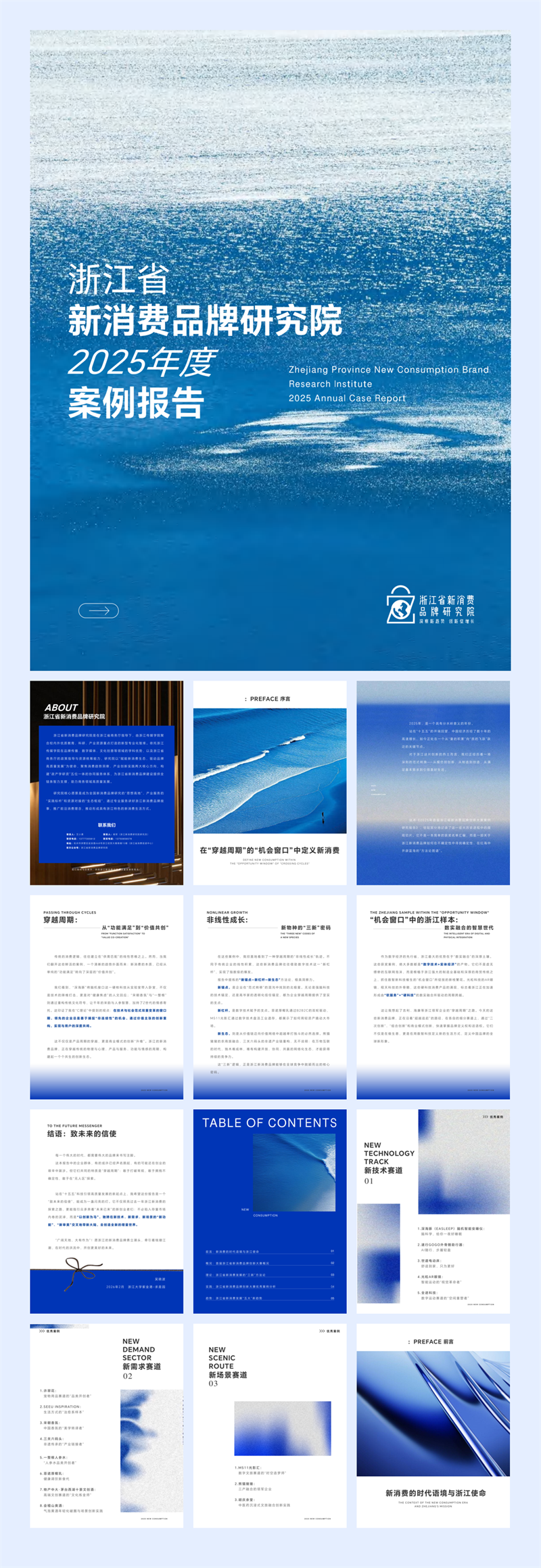 浙江省新消费品牌研究院2025年度案例报告-新消费研究院.pdf