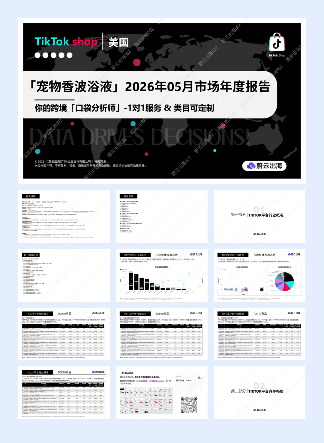 蔚云出海_美国_TikTok_2026年_宠物香波浴液_5月市场年度报告-20页.pdf
