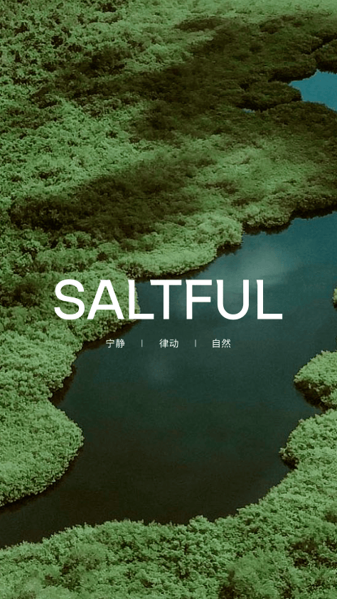 SALTFUL品牌介绍 – 副本.pdf
