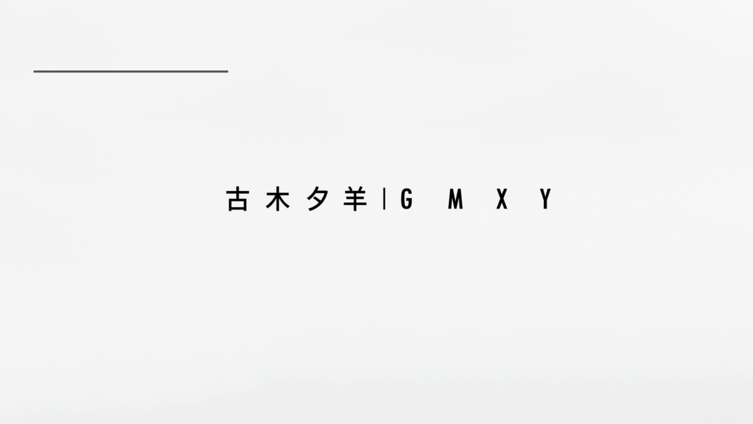 海明旗下女装品牌手册.pdf
