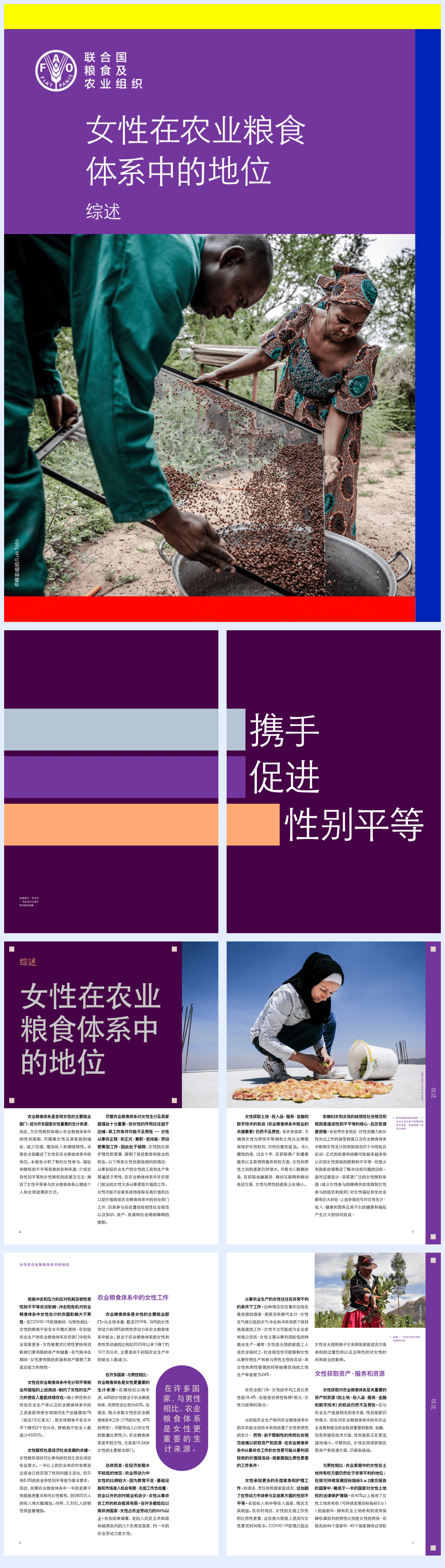 《女性在农业粮食体系中的地位》-16页.pdf