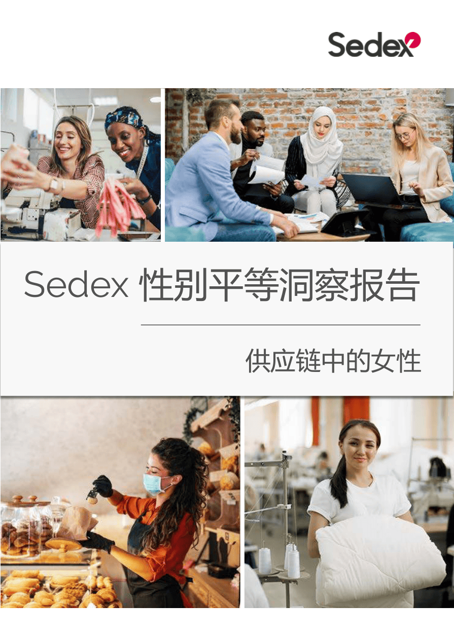 2023性别平等洞察报告：供应链中的女性-Sedex-202310-62页.pdf