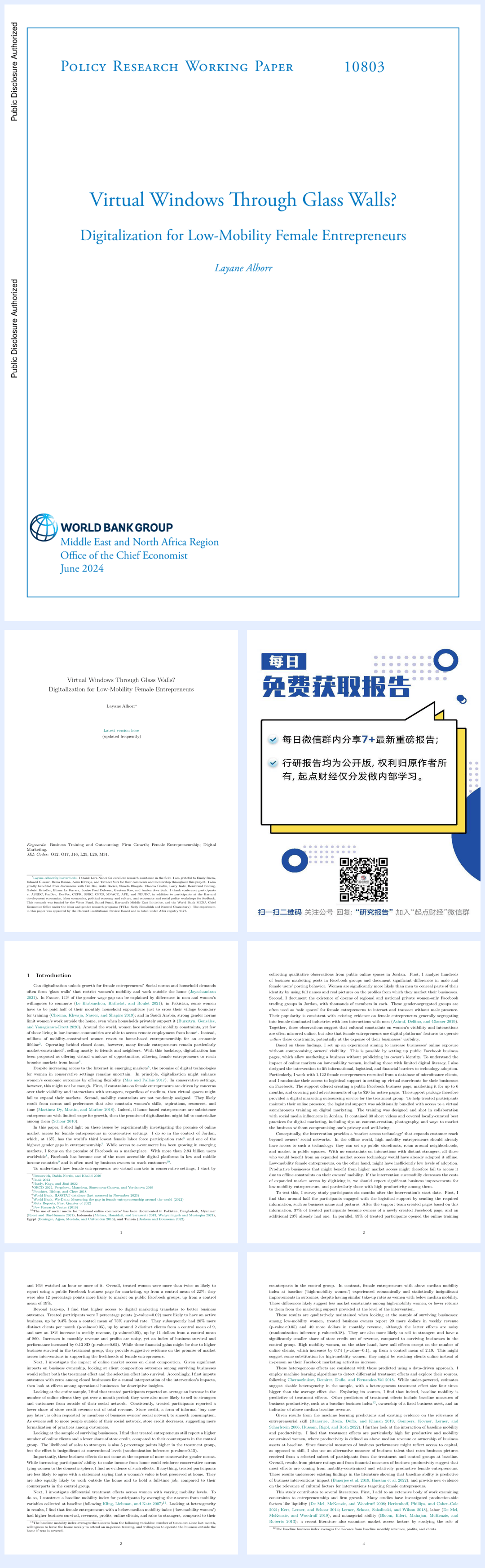 世界银行-透过玻璃墙的虚拟窗口？低流动性女性企业家的数字化（英）-2024.6-65页.pdf