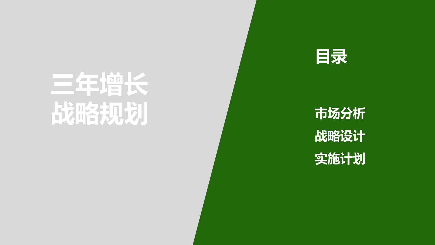 三年增长战略规划PPT_.pdf