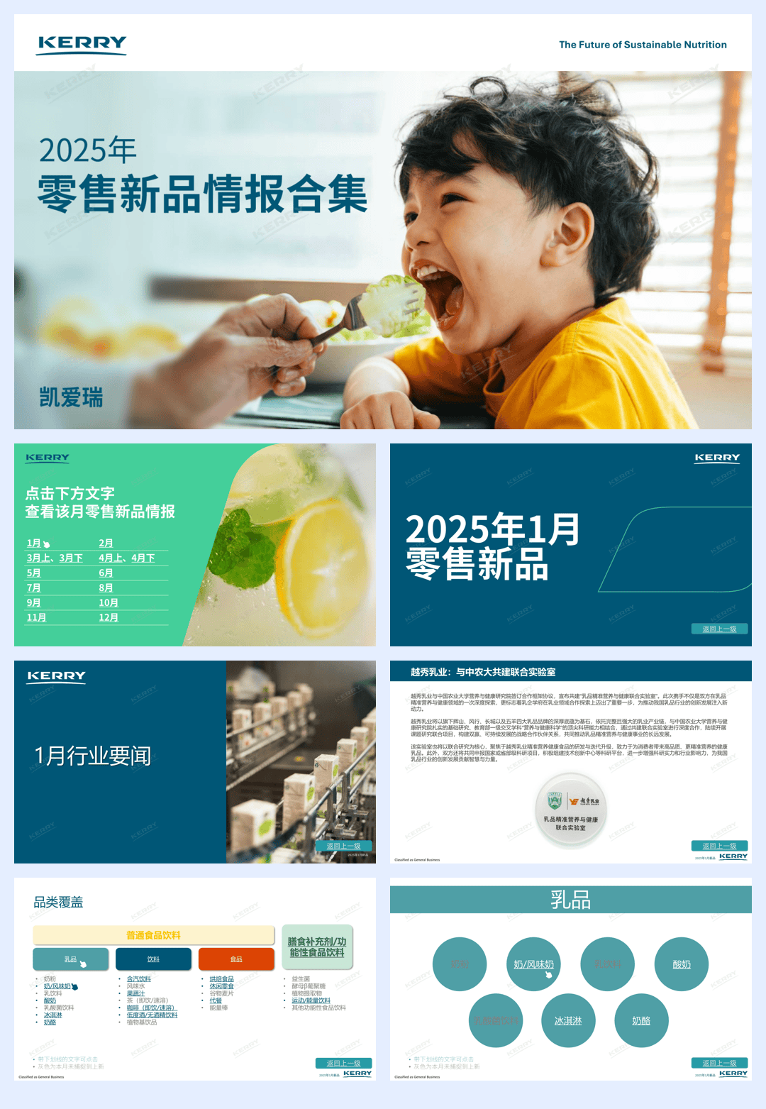 2025年零售新品情报合集-凯爱瑞-2025-735页.pdf