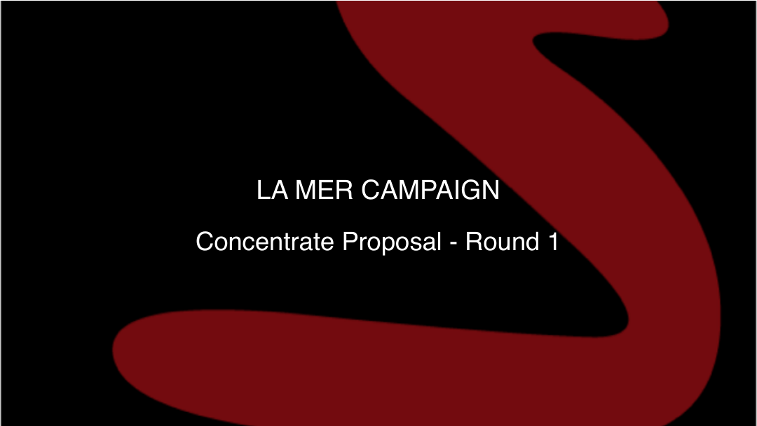 LA MER CONCENTRATE营销竞标-125页.pdf
