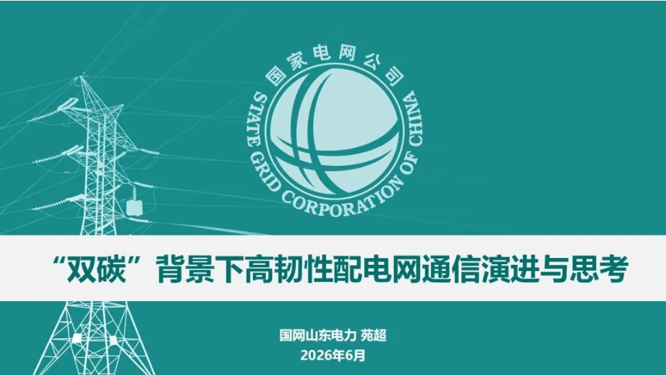 国家电网PPT：“双碳”背景下高韧性配电网通信演进与思考-24页.pdf