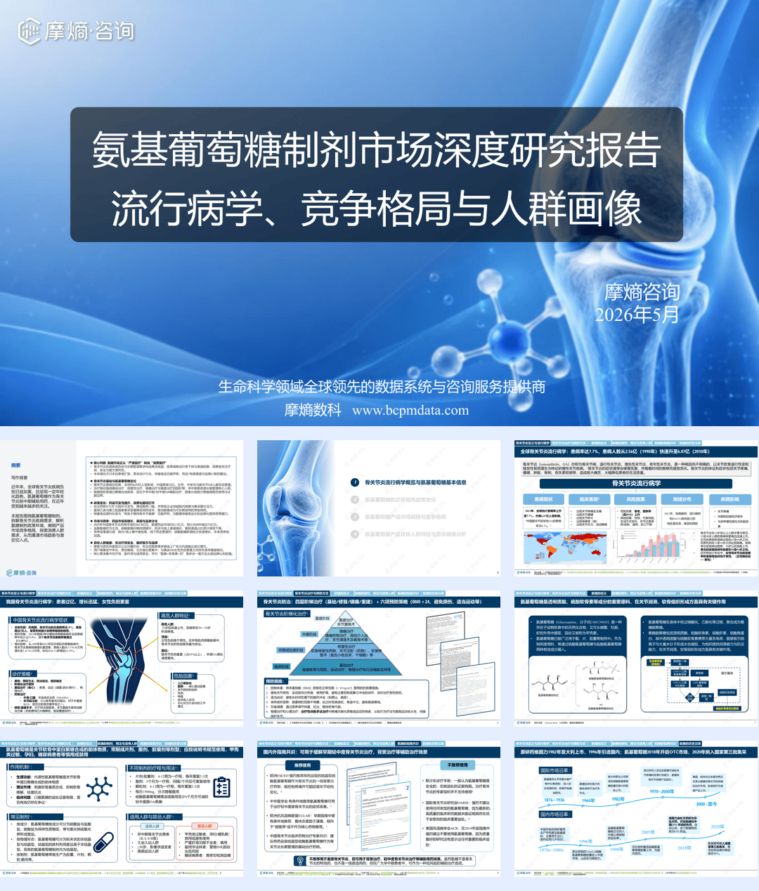 摩熵咨询_氨基葡萄糖制剂市场深度研究报告-29页.pdf