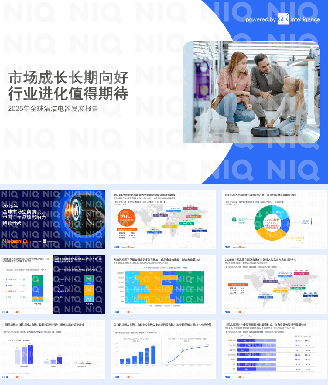 2025年全球清洁电器发展报告-21页.pdf