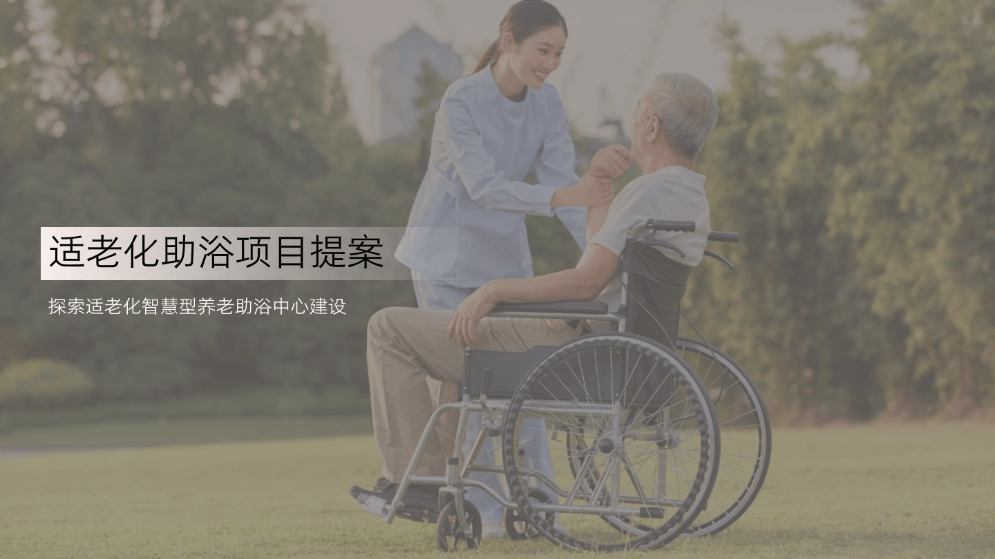 其他方案_老人助浴项目提报方案【项目策划】_.pdf
