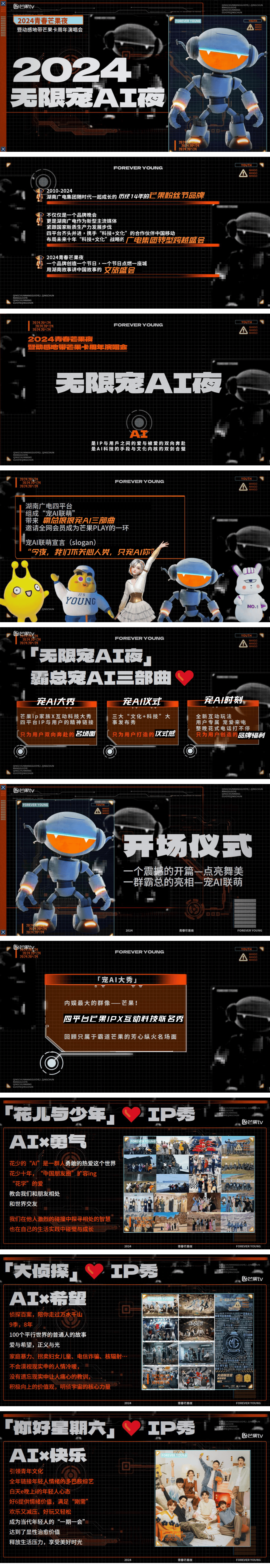 《2024青春芒果夜·无限宠AI夜》招商方案0511.pdf