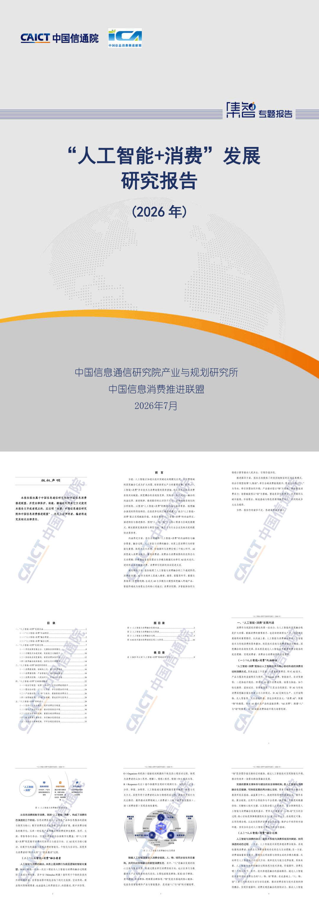 《“人工智能+消费”发展研究报告（2026年）》-41页.pdf
