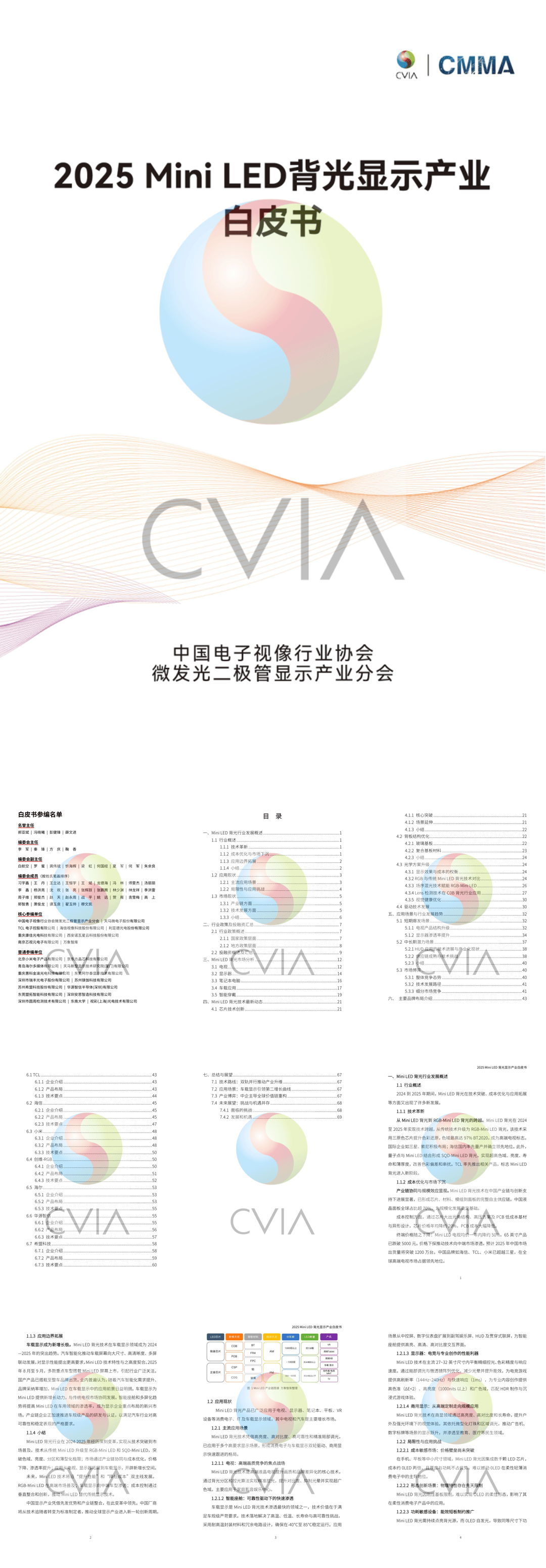 2025 Mini LED背光显示产业白皮书.pdf