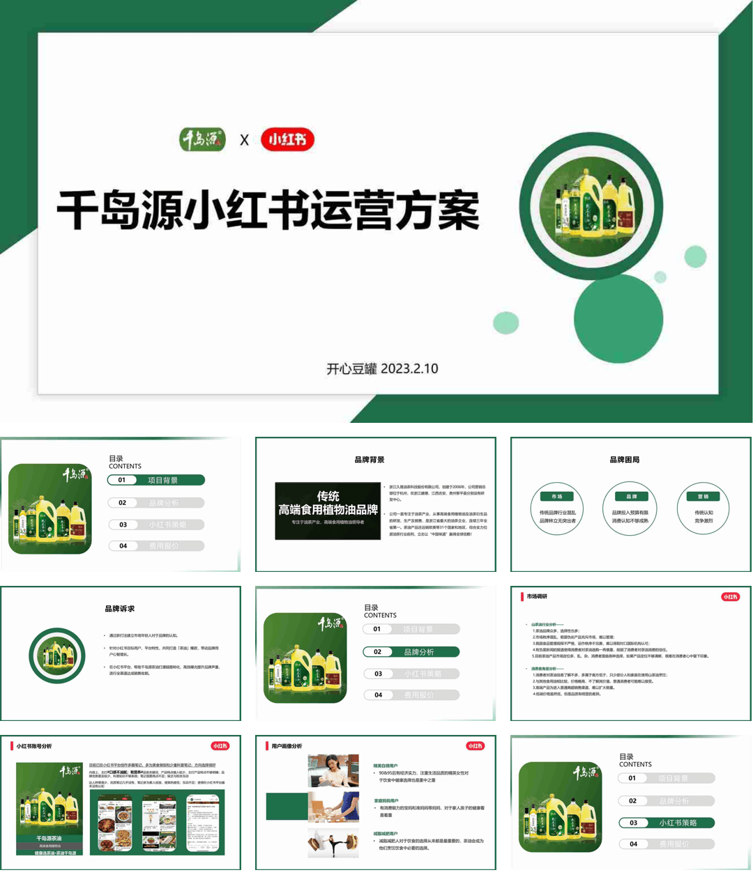 运营方案_2023千岛源茶油小红书内容运营方案_.pdf
